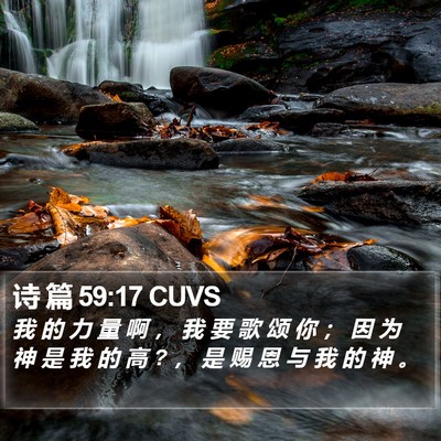 诗 篇 59:17 CUVS Bible Verse Image