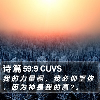 诗 篇 59:9 CUVS Bible Verse Image
