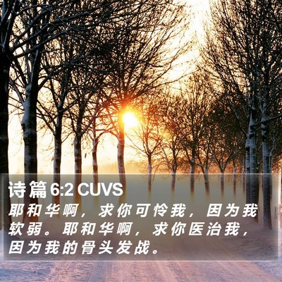 诗 篇 6:2 CUVS Bible Verse Image