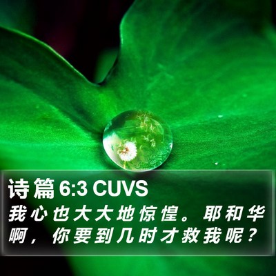 诗 篇 6:3 CUVS Bible Verse Image