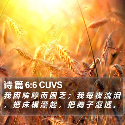 诗 篇 6:6 CUVS Bible Verse Image
