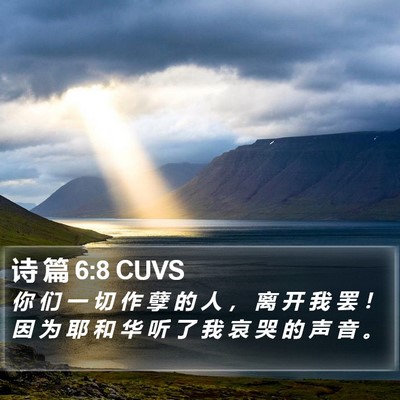 诗 篇 6:8 CUVS Bible Verse Image