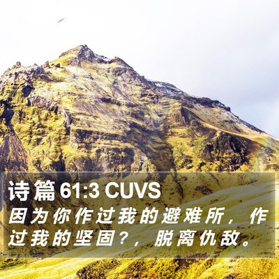 诗 篇 61:3 CUVS Bible Verse Image