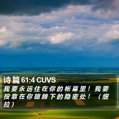 诗 篇 61:4 CUVS Bible Verse Image