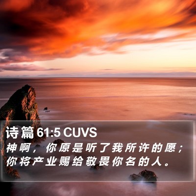 诗 篇 61:5 CUVS Bible Verse Image