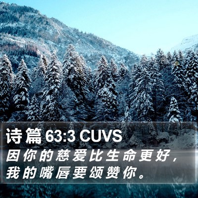 诗 篇 63:3 CUVS Bible Verse Image