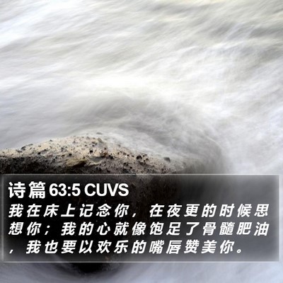 诗 篇 63:5 CUVS Bible Verse Image