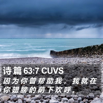 诗 篇 63:7 CUVS Bible Verse Image