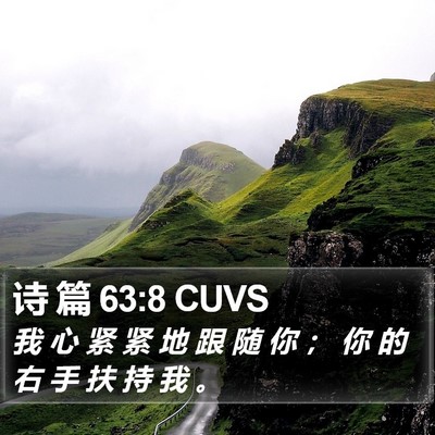 诗 篇 63:8 CUVS Bible Verse Image