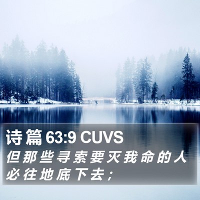 诗 篇 63:9 CUVS Bible Verse Image