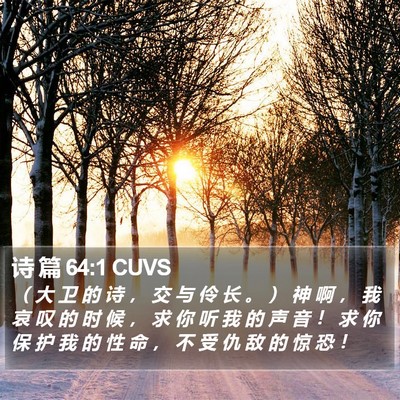 诗 篇 64:1 CUVS Bible Verse Image