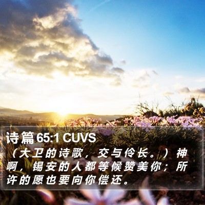 诗 篇 65:1 CUVS Bible Verse Image