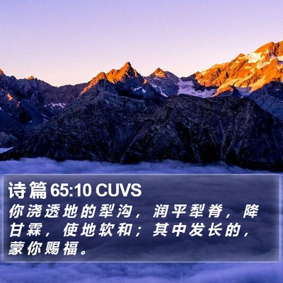 诗 篇 65:10 CUVS Bible Verse Image