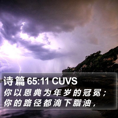 诗 篇 65:11 CUVS Bible Verse Image