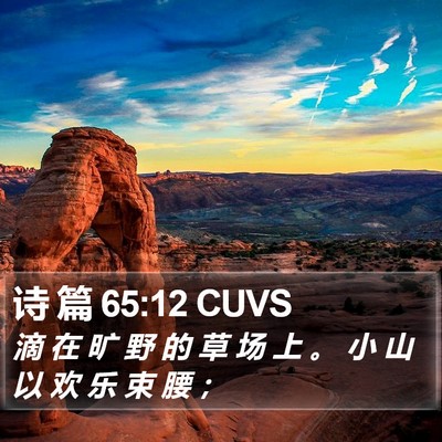 诗 篇 65:12 CUVS Bible Verse Image