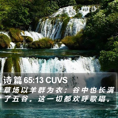 诗 篇 65:13 CUVS Bible Verse Image