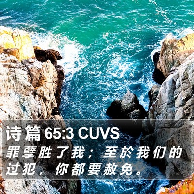 诗 篇 65:3 CUVS Bible Verse Image