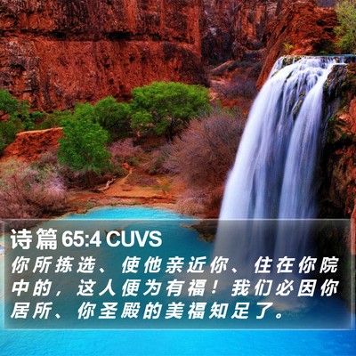 诗 篇 65:4 CUVS Bible Verse Image