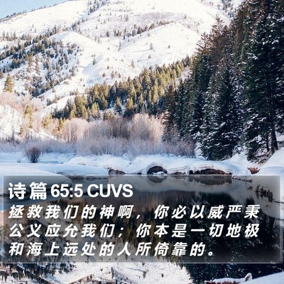 诗 篇 65:5 CUVS Bible Verse Image