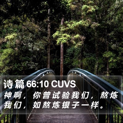 诗 篇 66:10 CUVS Bible Verse Image