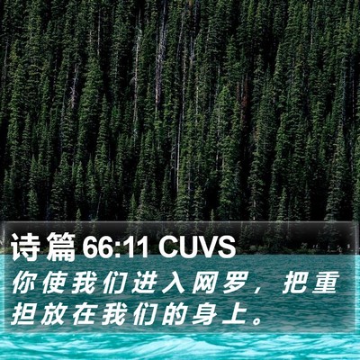 诗 篇 66:11 CUVS Bible Verse Image