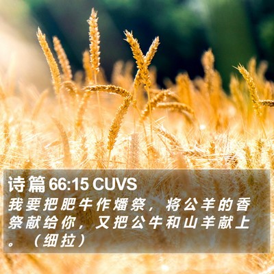 诗 篇 66:15 CUVS Bible Verse Image
