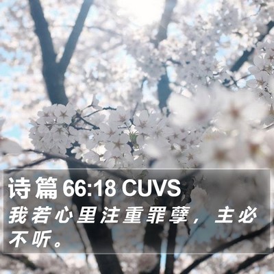 诗 篇 66:18 CUVS Bible Verse Image