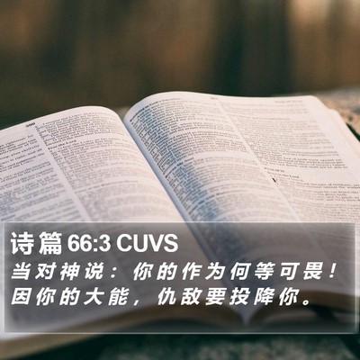 诗 篇 66:3 CUVS Bible Verse Image