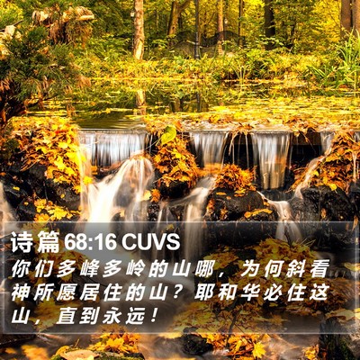 诗 篇 68:16 CUVS Bible Verse Image