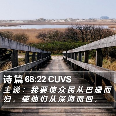 诗 篇 68:22 CUVS Bible Verse Image