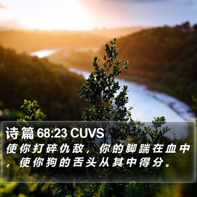 诗 篇 68:23 CUVS Bible Verse Image