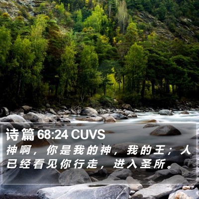 诗 篇 68:24 CUVS Bible Verse Image