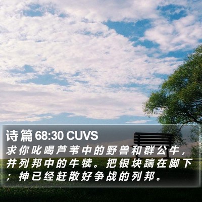 诗 篇 68:30 CUVS Bible Verse Image