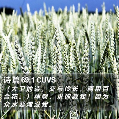 诗 篇 69:1 CUVS Bible Verse Image
