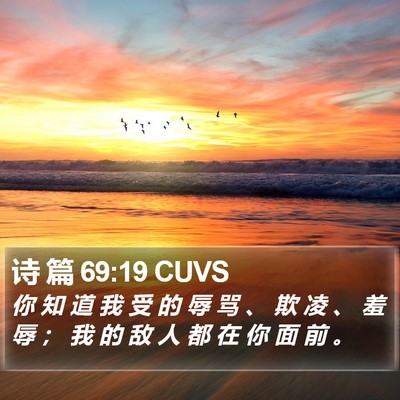 诗 篇 69:19 CUVS Bible Verse Image