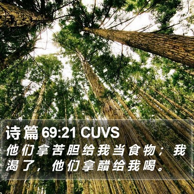 诗 篇 69:21 CUVS Bible Verse Image