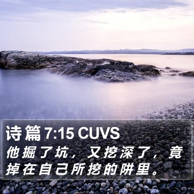 诗 篇 7:15 CUVS Bible Verse Image