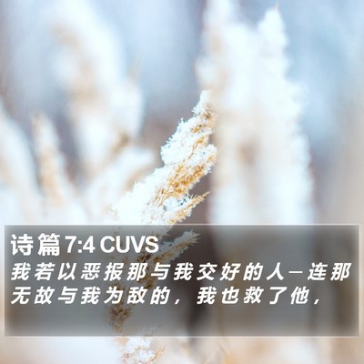 诗 篇 7:4 CUVS Bible Verse Image