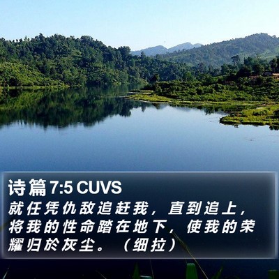 诗 篇 7:5 CUVS Bible Verse Image