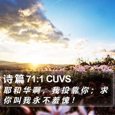 诗 篇 71:1 CUVS Bible Verse Image