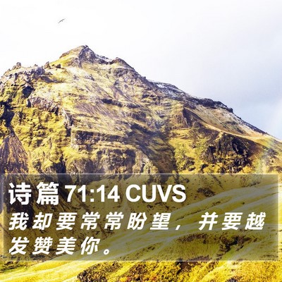 诗 篇 71:14 CUVS Bible Verse Image