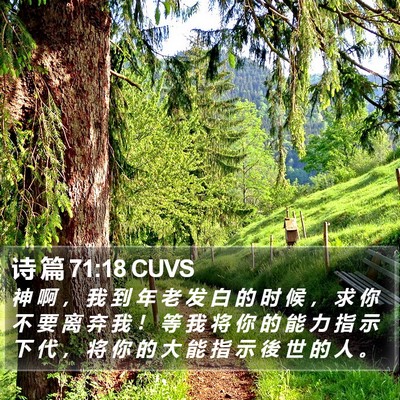 诗 篇 71:18 CUVS Bible Verse Image