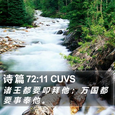 诗 篇 72:11 CUVS Bible Verse Image