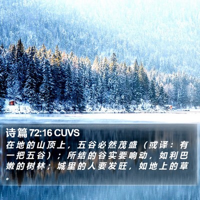 诗 篇 72:16 CUVS Bible Verse Image