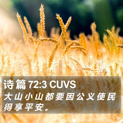 诗 篇 72:3 CUVS Bible Verse Image
