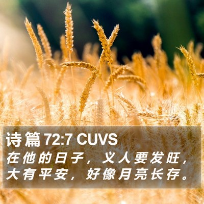 诗 篇 72:7 CUVS Bible Verse Image