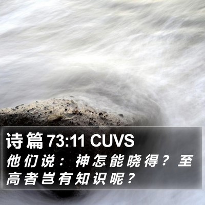 诗 篇 73:11 CUVS Bible Verse Image