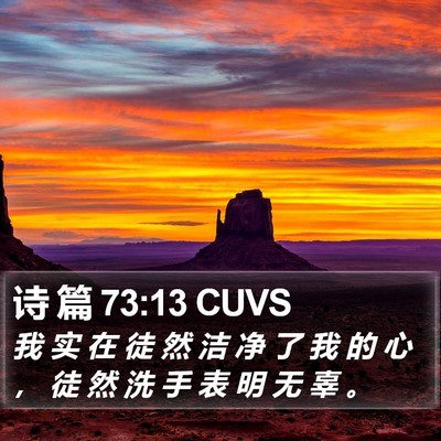 诗 篇 73:13 CUVS Bible Verse Image