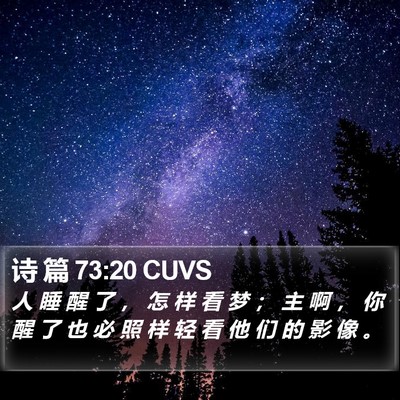 诗 篇 73:20 CUVS Bible Verse Image