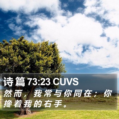 诗 篇 73:23 CUVS Bible Verse Image